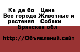 Ка де бо › Цена ­ 25 - Все города Животные и растения » Собаки   . Брянская обл.